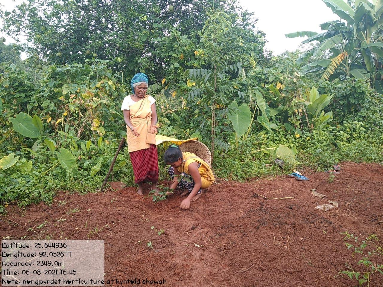 C:\Users\Lavinia Pde\Desktop\nongpyrdet\Nongpyrdet\WhatsApp Image 2023-02-02 at 14.52.15.jpeg